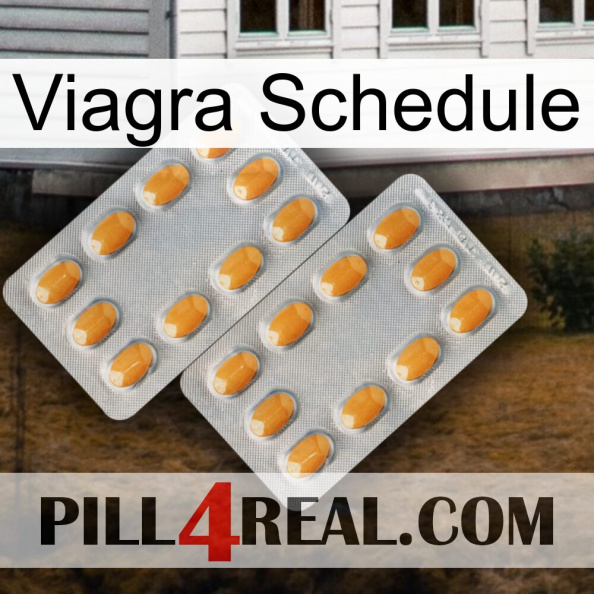 Viagra Schedule cialis4.jpg